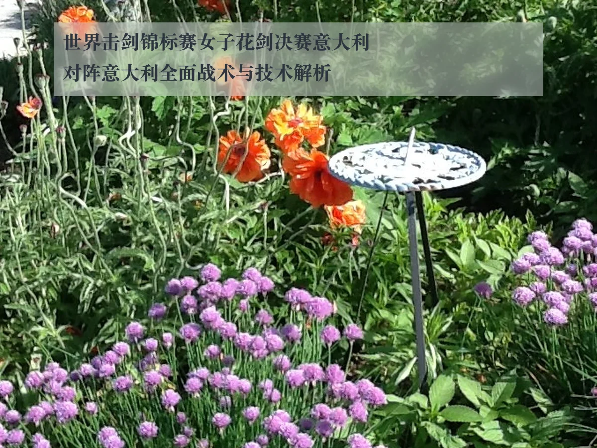 世界击剑锦标赛女子花剑决赛意大利对阵意大利全面战术与技术解析
